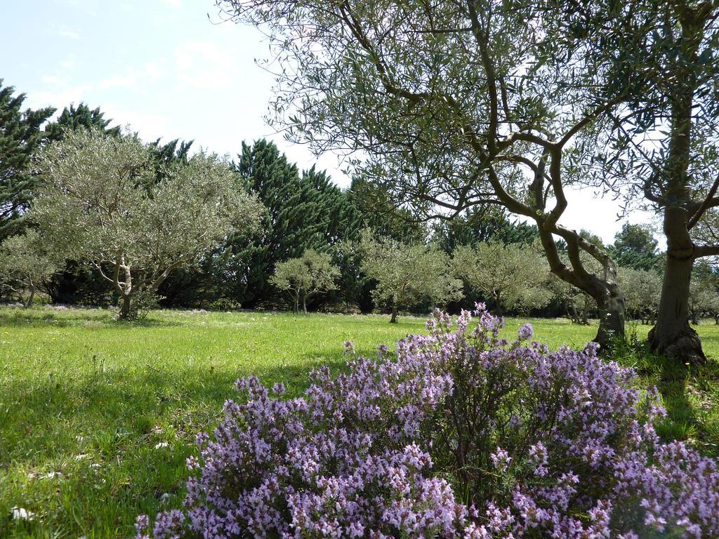 Les Mazets Du Luberon Bed & Breakfast Puget Eksteriør bilde
